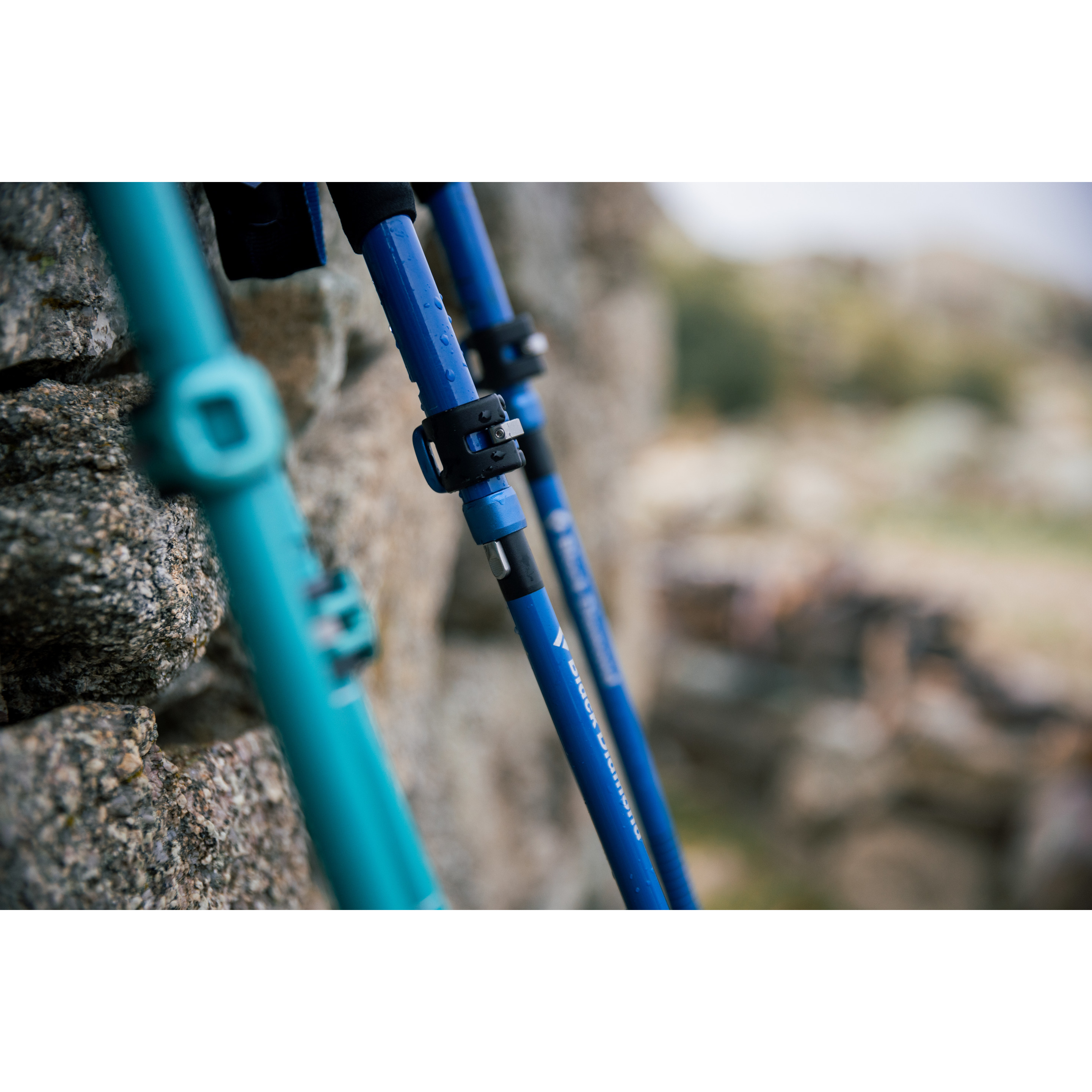 Black diamond sales trekking pole accessories